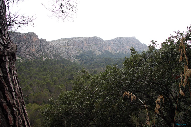 �������. La Reserva de  Puig de Galatzo.