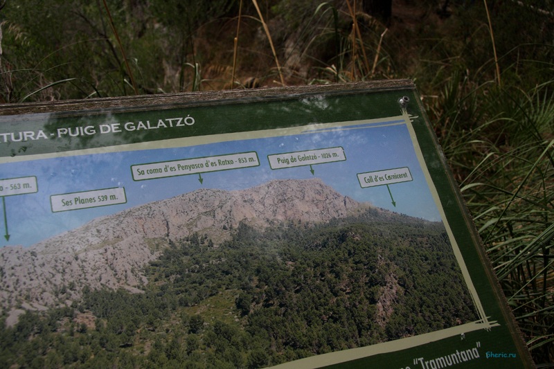 �������. La Reserva de  Puig de Galatzo.