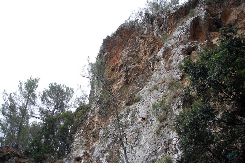 �������. La Reserva de  Puig de Galatzo.