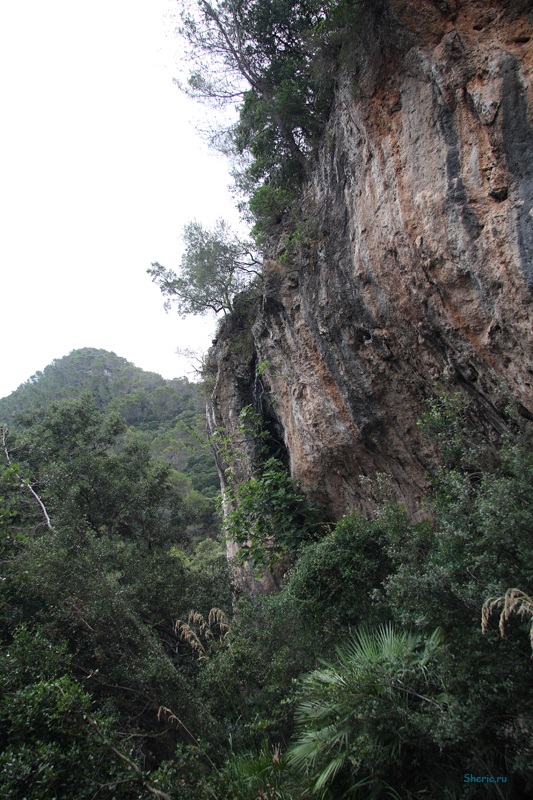 �������. La Reserva de  Puig de Galatzo.