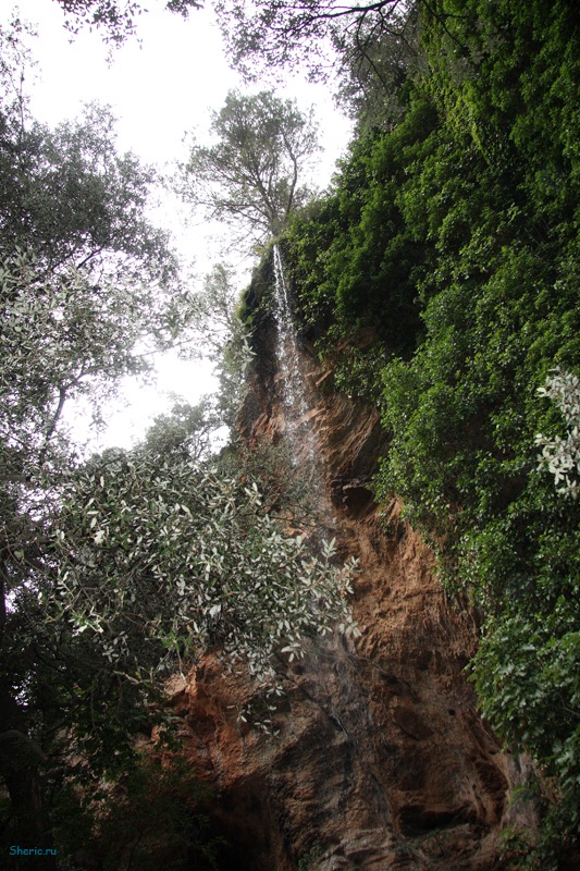 �������. La Reserva de  Puig de Galatzo.