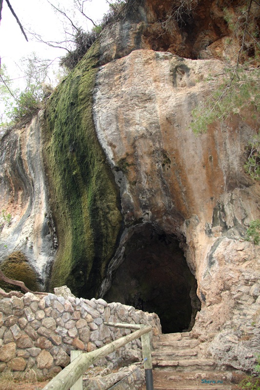 �������. La Reserva de  Puig de Galatzo.
