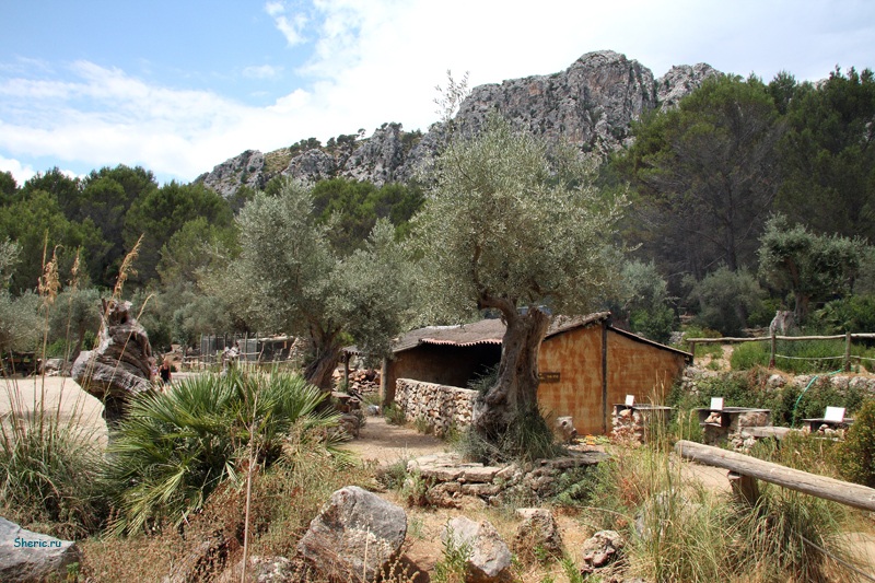 �������. La Reserva de  Puig de Galatzo.