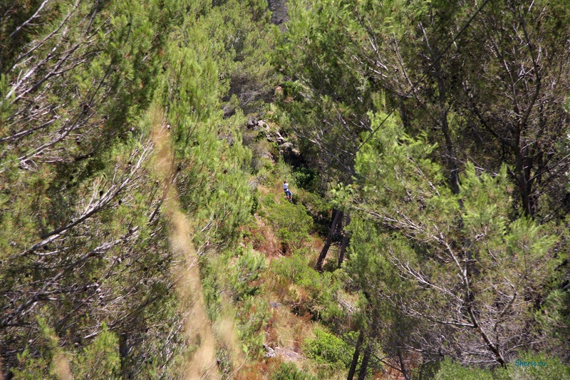 �������. La Reserva de  Puig de Galatzo.