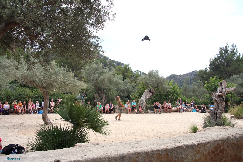 �������. La Reserva de  Puig de Galatzo.