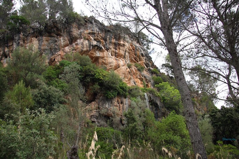 �������. La Reserva de  Puig de Galatzo.