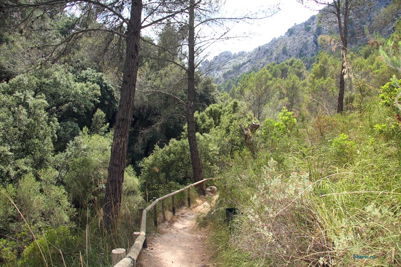 �������. La Reserva de  Puig de Galatzo.